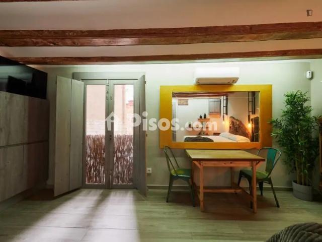 Estudio en alquiler en El Raval