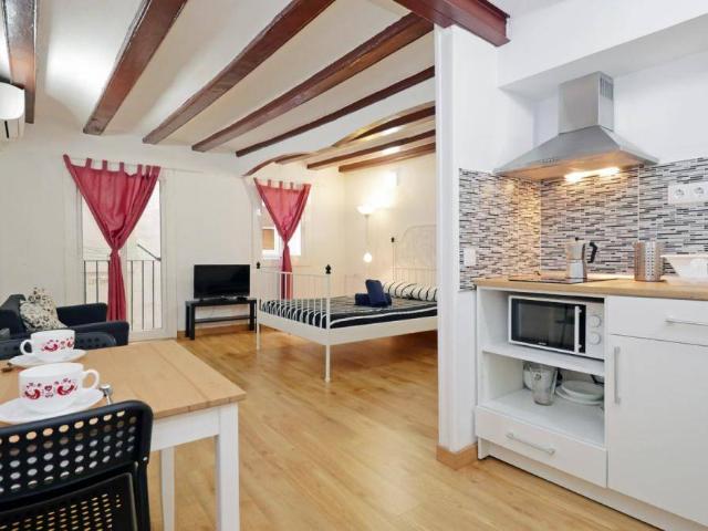 Estudio en Alquiler en El Raval