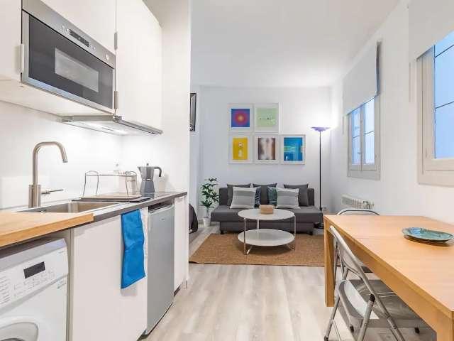 Estudio en alquiler en Embajadores, Madrid