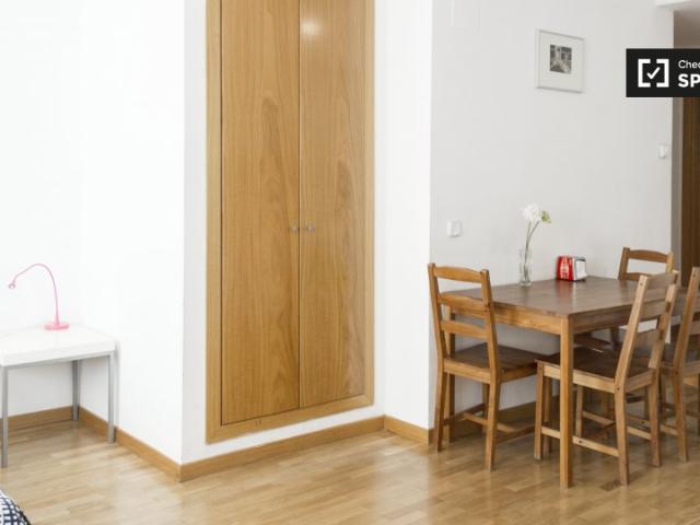 Estudio en alquiler en Embajadores, Madrid