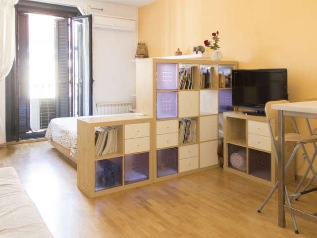 Estudio en alquiler en Embajadores, Madrid