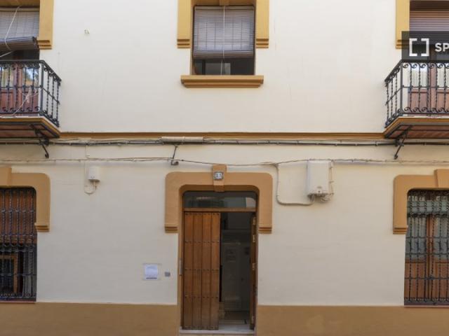 Estudio en alquiler en Feria, Sevilla