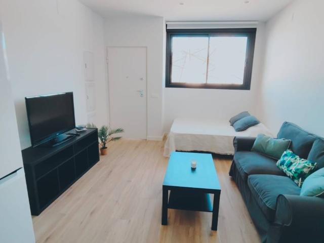 Estudio en alquiler en Juan Carlos I 30007