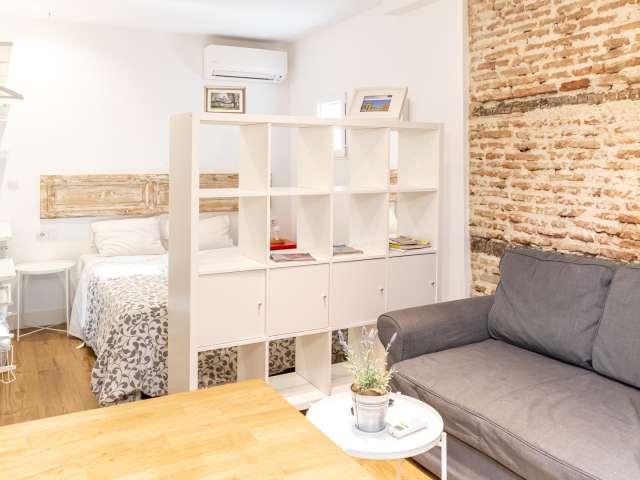 estudio en alquiler en Lavapiés, Madrid