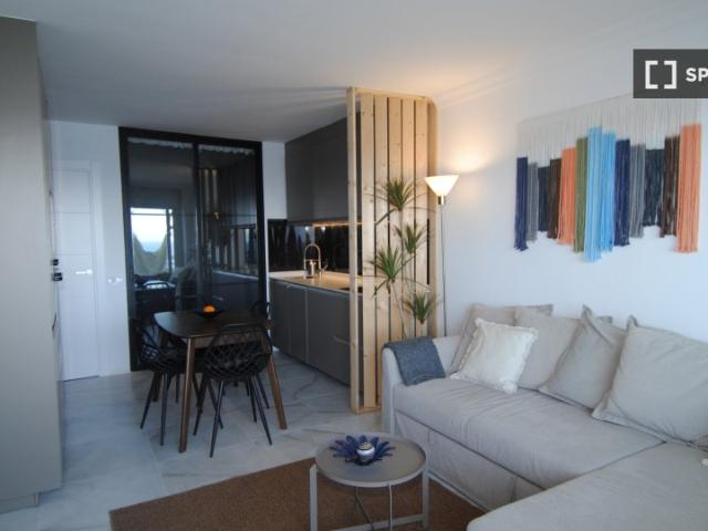 Estudio en alquiler en Los Realejos, Tenerife