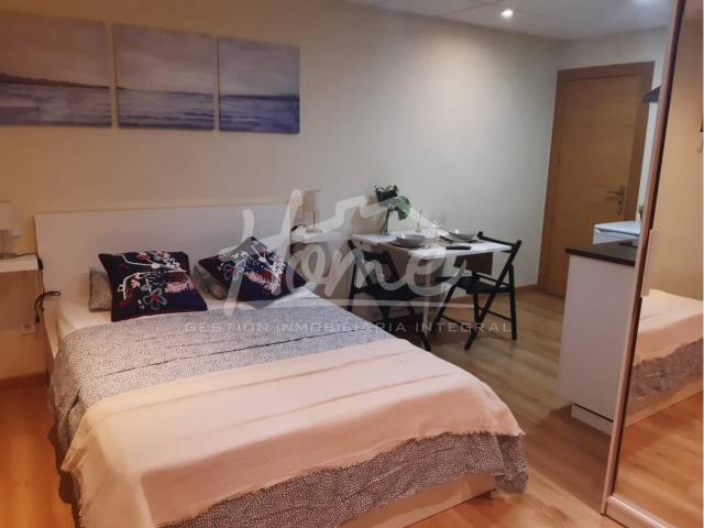 Estudio en alquiler en Pueblo Nuevo