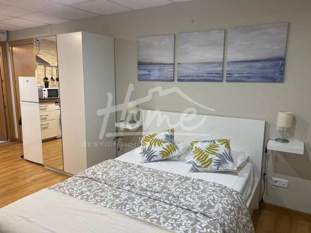 Estudio en alquiler en Pueblo Nuevo 28017