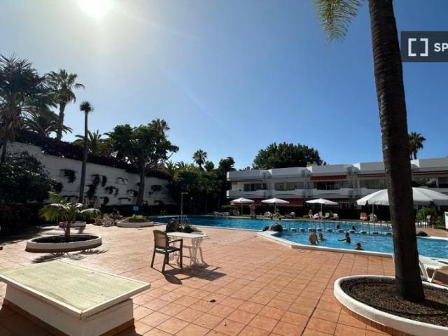 Estudio en alquiler en Puerto de la Cruz