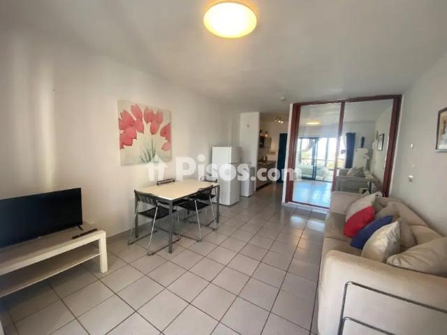 Estudio en alquiler en Playa Roca