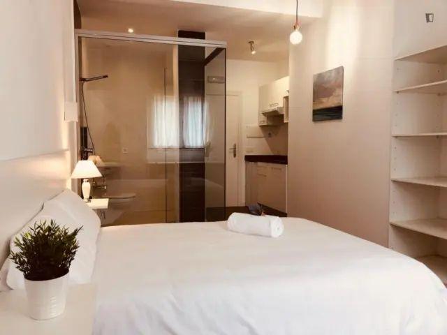 Estudio en alquiler en Salamanca Capital