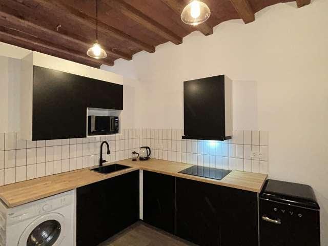 Estudio en alquiler en Sant Pere Santa Caterina, Barcelona