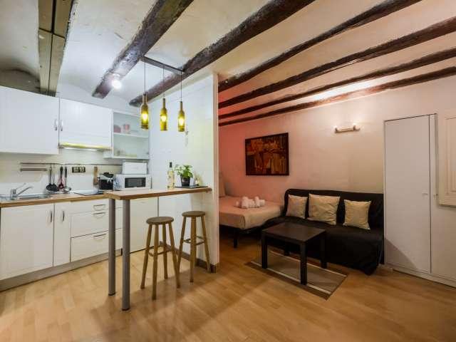 Estudio en alquiler en Sant Pere Santa Caterina i la Ribera