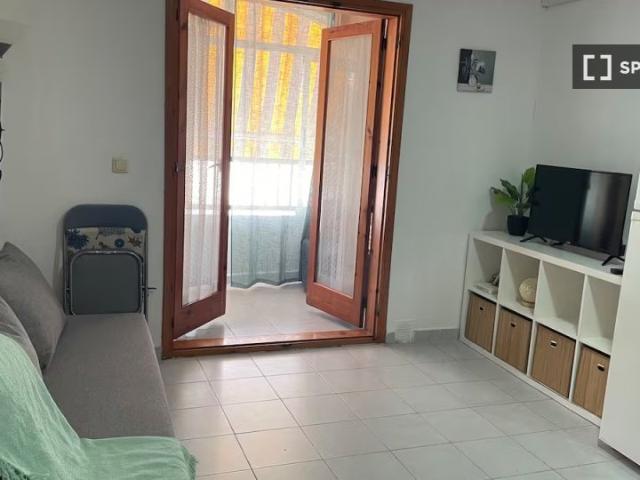Estudio en alquiler en Torrevieja, Alicante
