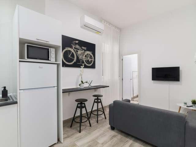 Estudio en alquiler en Universidad, Madrid