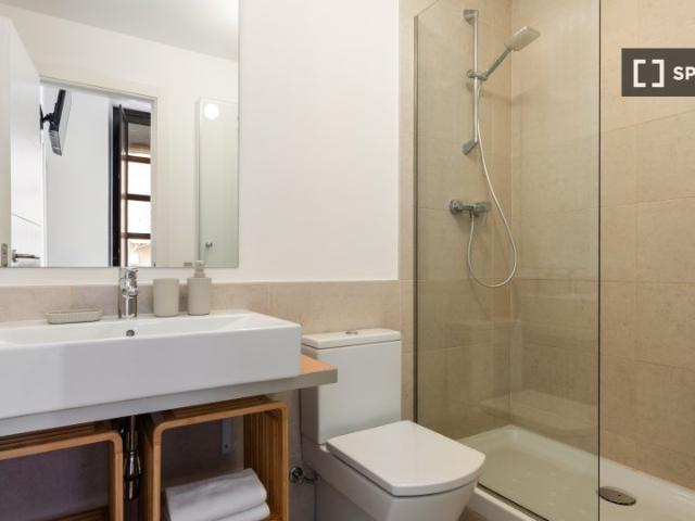 Apartamento de 1 dormitorio en alquiler en Universidad, Madrid