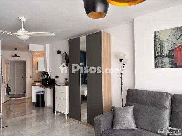 Estudio en alquiler en Urbanización Costa del Oro