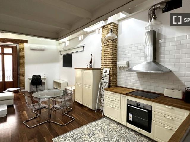 Estudio en alquiler en El Botànic, Valencia