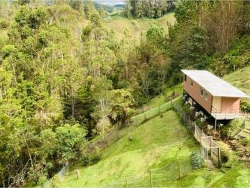 Estudio en arriendo en Antioquia