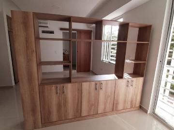 Estudio en arriendo en Palmira