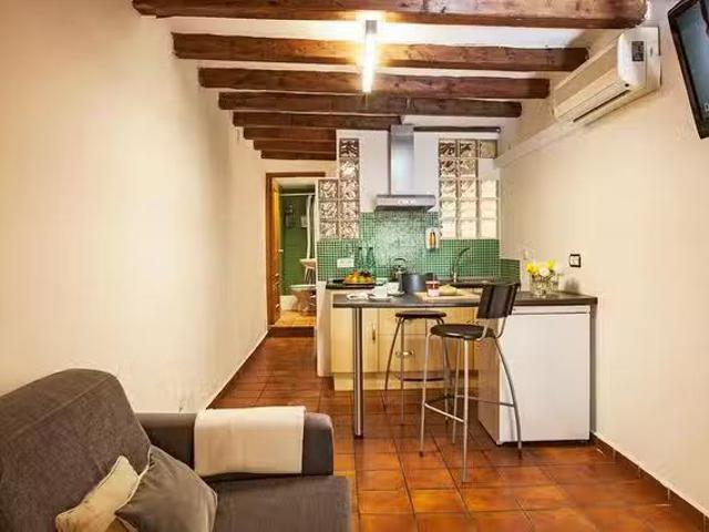 Estudio en Carrer de Guàrdia, El Raval