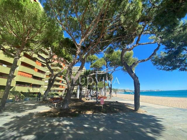 Estudio en venta en avenida De la Pau, Castell Platja d´Aro, de 17 m² por 90.000