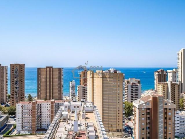Estudio en venta en Benidorm, Avenida Juan Fuster Zaragoza, 03503