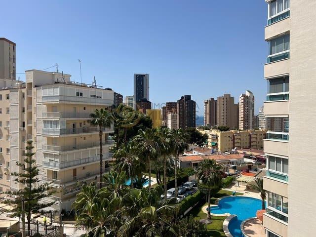 Estudio en venta en Benidorm, Alicante Costa Blanca