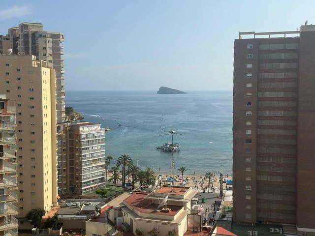Estudio en venta en Benidorm, Alicante Costa Blanca