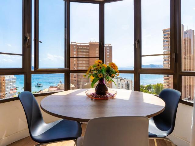 Estudio en venta en Benidorm, Rincón Alto. Oportunidad en Rincón de Loix Estudio reformado con revalorización asegurada a corto plazo. Estudios.