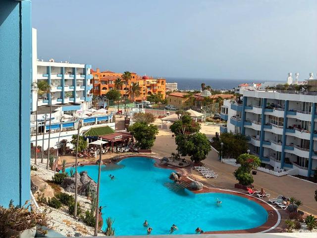 Estudio en Venta en Golf del Sur Amarilla Golf