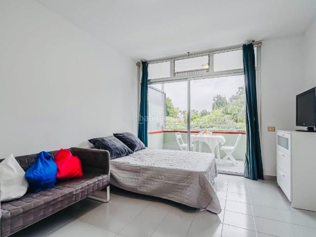 Estudio en venta en Puerto de la Cruz, San Antonio Las Arenas. ¡DOS VIVIENDAS AL PRECIO DE UNA!. Estudios Puerto de la.