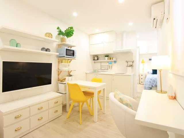Estudio luminoso en alquiler en La Latina, Madrid