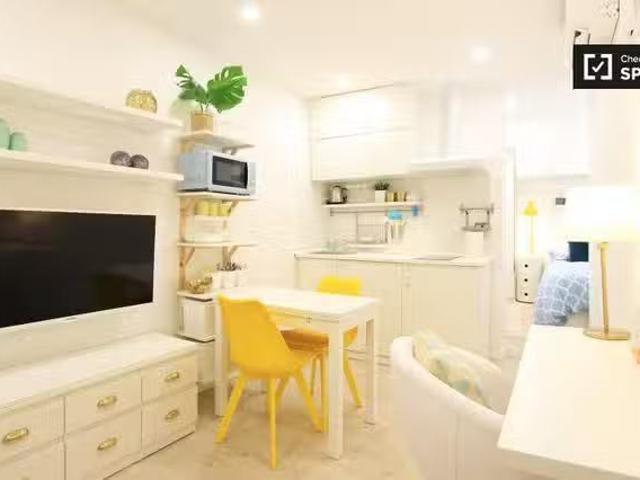 Estudio luminoso en alquiler en La Latina, Madrid