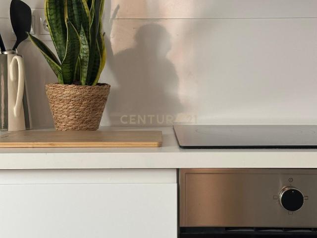 Estudio reformado en el corazón del Born junto al Parque La Ciutadella
