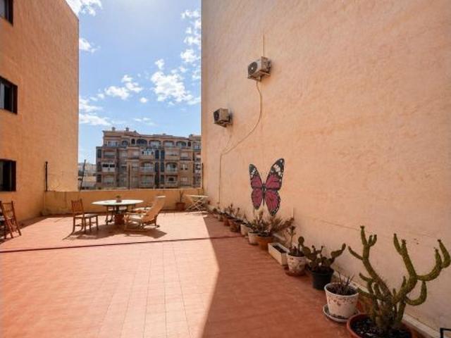 ESTUDIO TORREVIEJA CENTRO 30 METROS EXTERIOR PARQUE DE LAS NACIONES