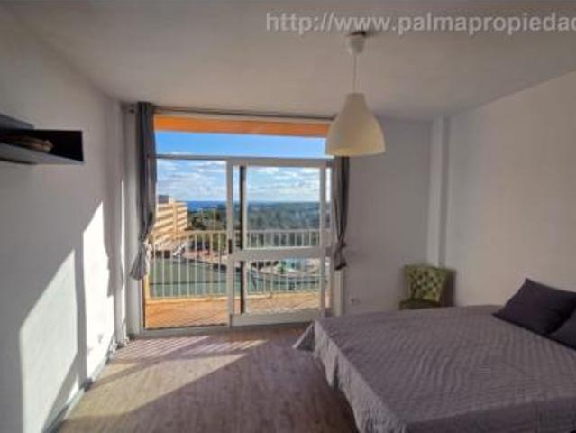 Estudio Venta Manacor, Manacor