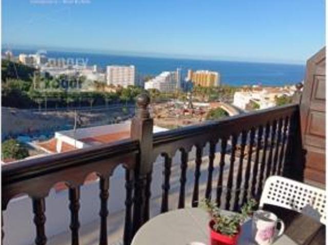 Estudio Venta Adeje, Costa Adeje