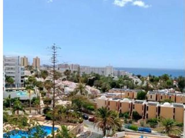 Estudio Venta Adeje, Costa Adeje