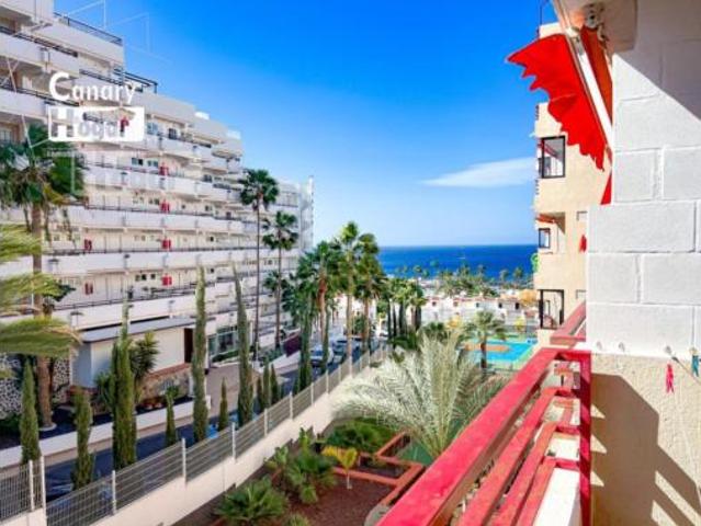 Estudio Venta Adeje, Costa Adeje