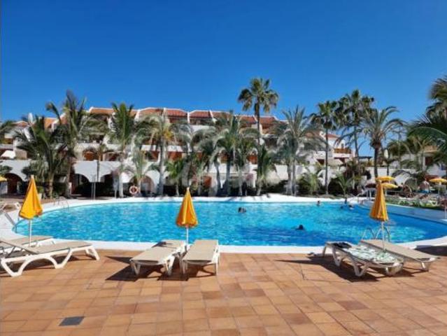 Estudio Venta Arona, Playa de Las Américas