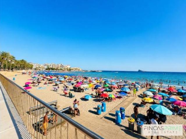 Estudio Venta Benidorm, Centre