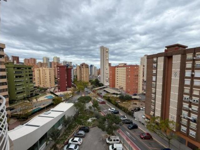 Estudio Venta Benidorm, Poble de Llevant