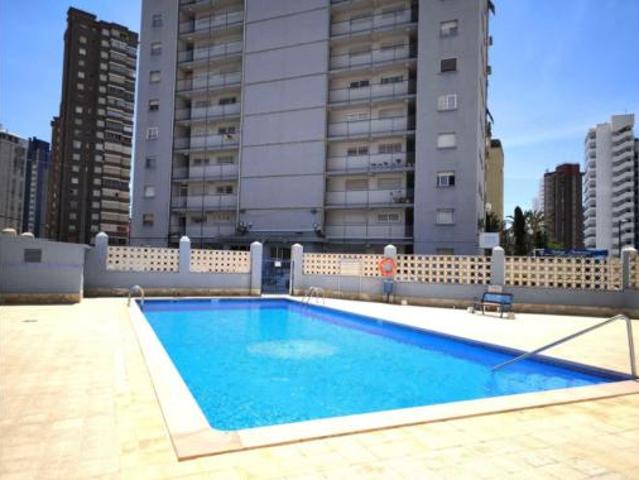 Estudio Venta Benidorm, Poble de Llevant