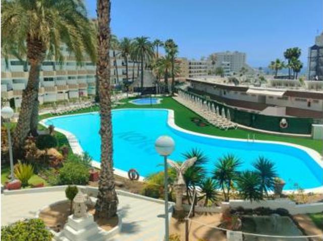 Estudio Venta San Bartolomé de Tirajana, Playa del Inglés