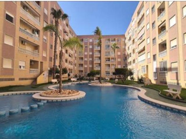 Estudio Venta Torrevieja, Centro