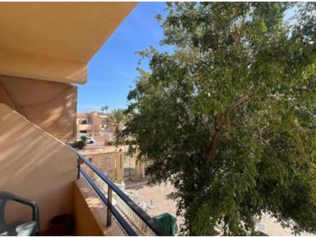 Estudio Venta Torrevieja, Torrevieja