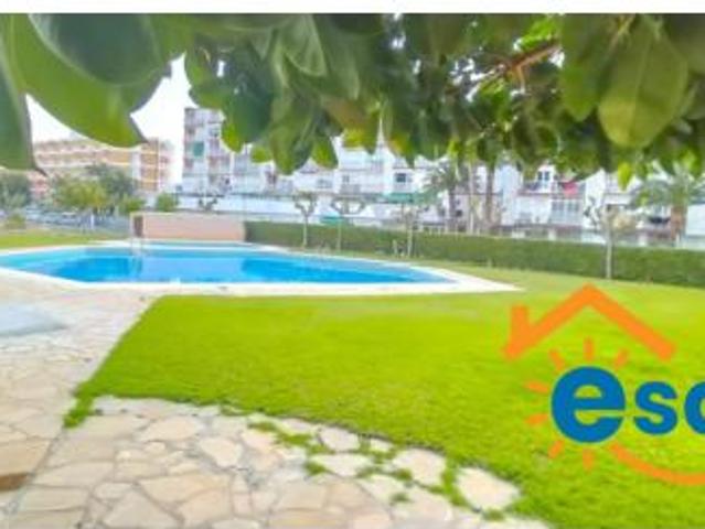 Estudio Venta Vila seca, La Pineda