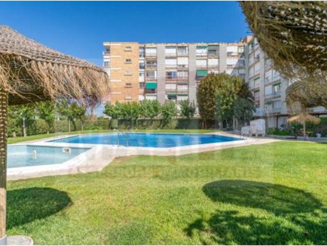 Estudio Venta Vila seca, La Pineda