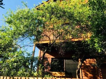 Estudios en Renta en Holbox