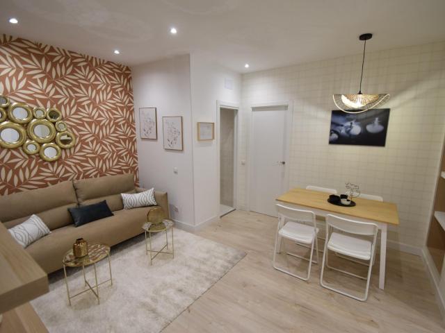 ESTUPENDO APARTAMENTO REFORMADO EN PLENO CENTRO DE MADRID